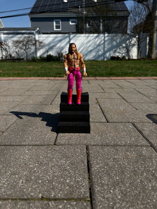 Other - 2 wwe action figures